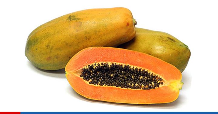 La Fruta Bomba papaya lechosa cuba propiedades medicinales 720x377